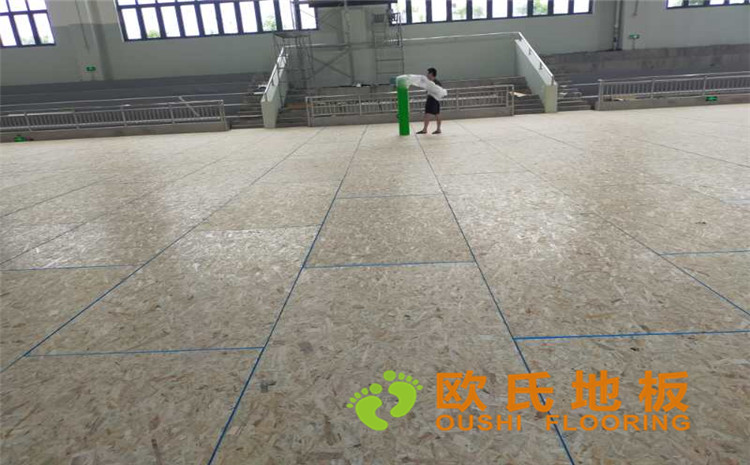 長(zhǎng)沙縣湘龍街道石子高沙社區(qū)長(zhǎng)沙軌道交通水渡河車輛段體育館木地板案例-歐氏運(yùn)動(dòng)木地板廠家