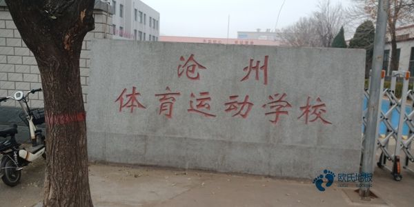 江蘇體育運(yùn)動(dòng)木地板工程施工